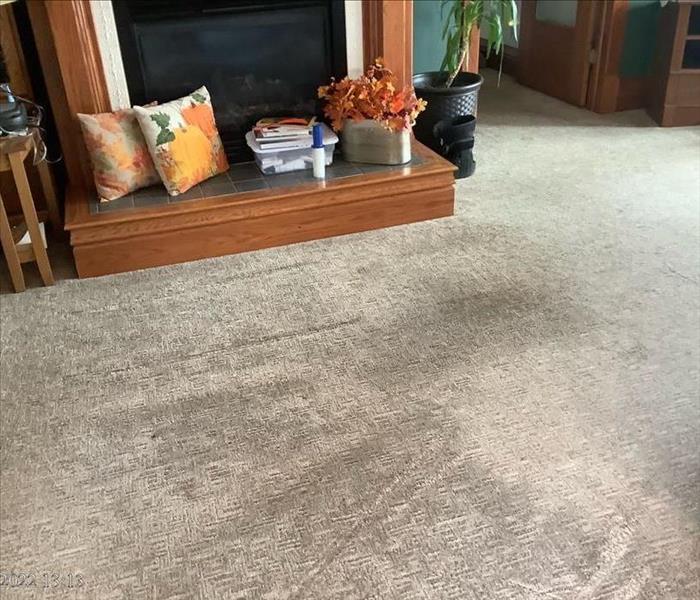 Carpet after SERVPRO cleaning